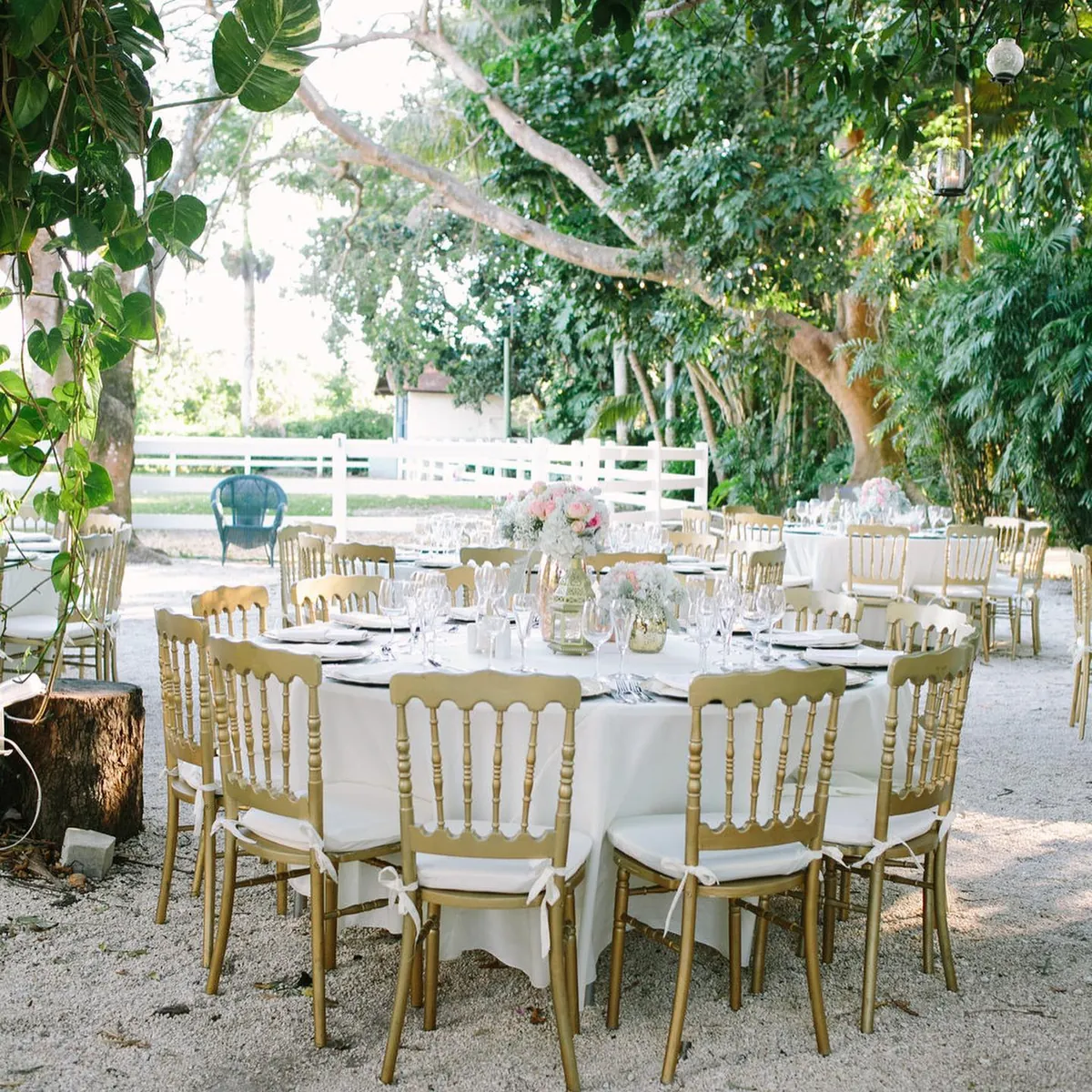 Outdoor reception set with gold chiavari chairs under the trees