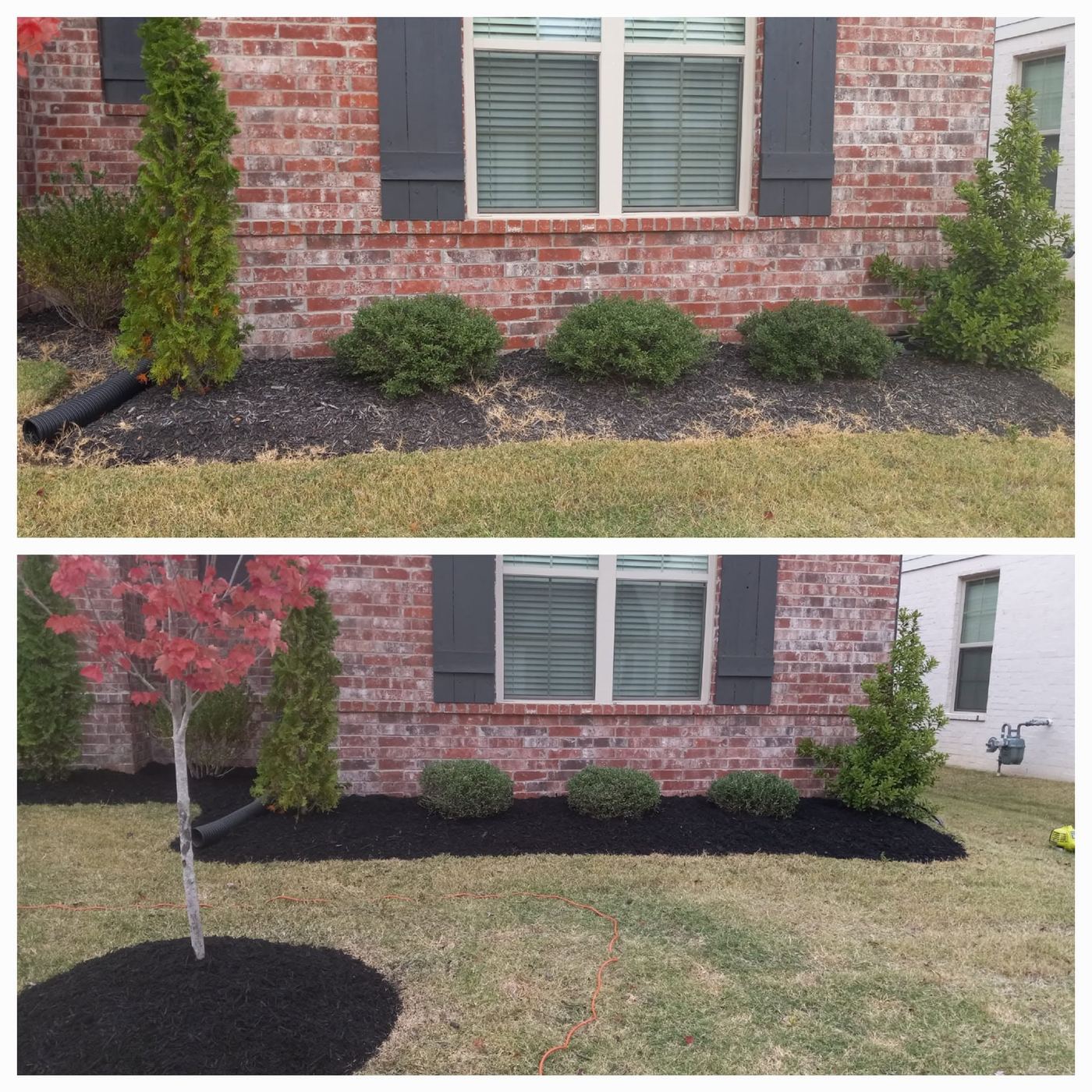 Antes y después de instalar una cama de mantillo con un árbol nuevo