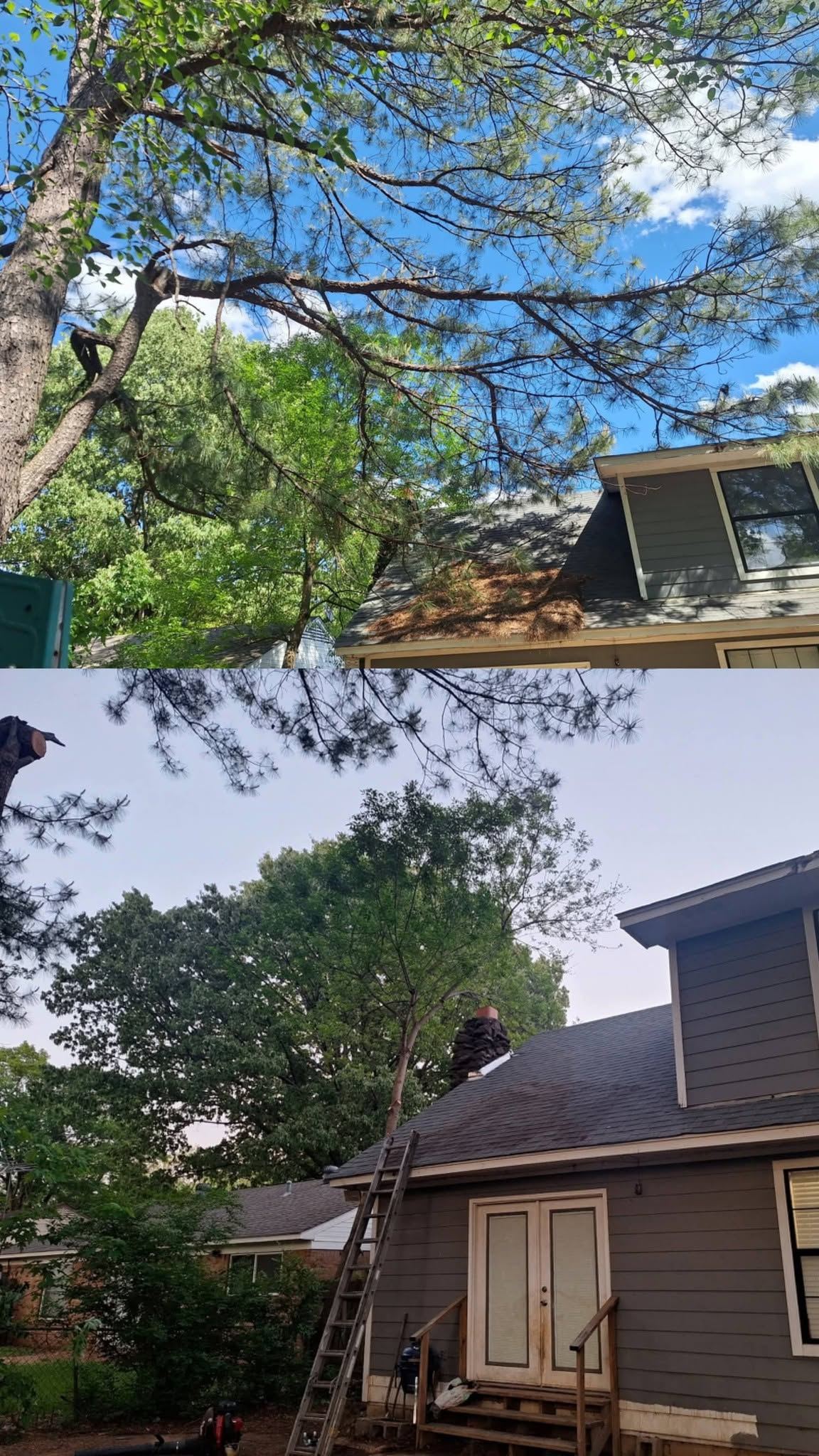 Poda de árbol cerca del techo de una casa