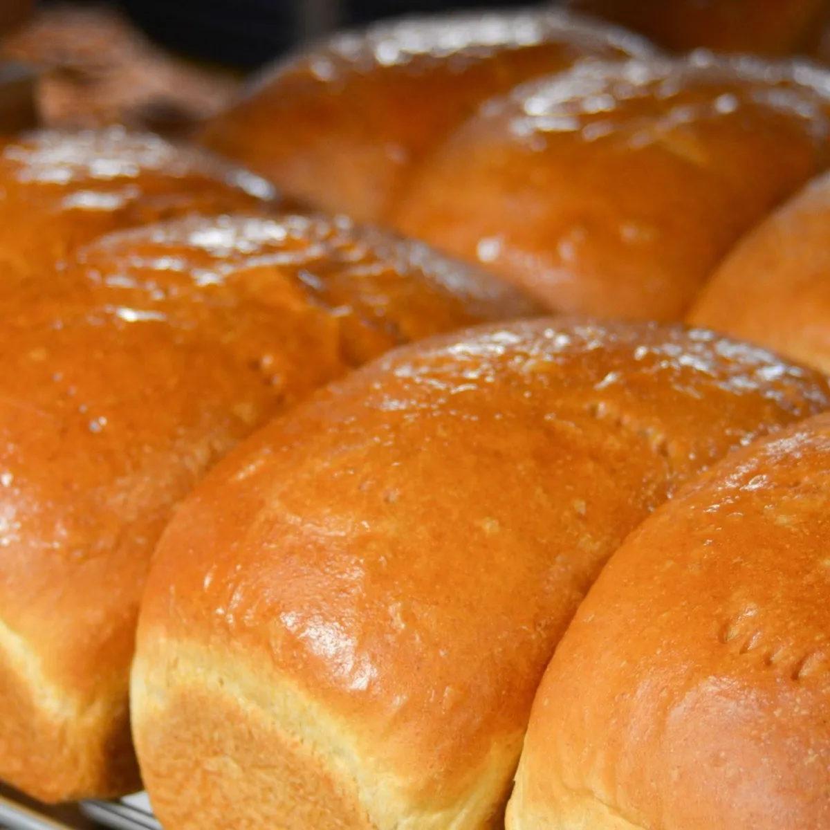 Golden loaves of fresh bread on a cooling rack