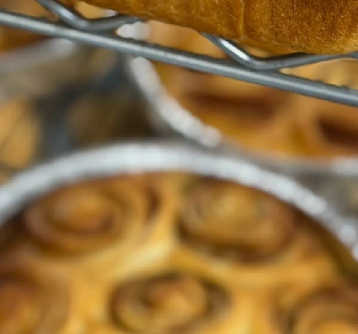 Cinnamon rolls fresh out of the oven in round baking pans
