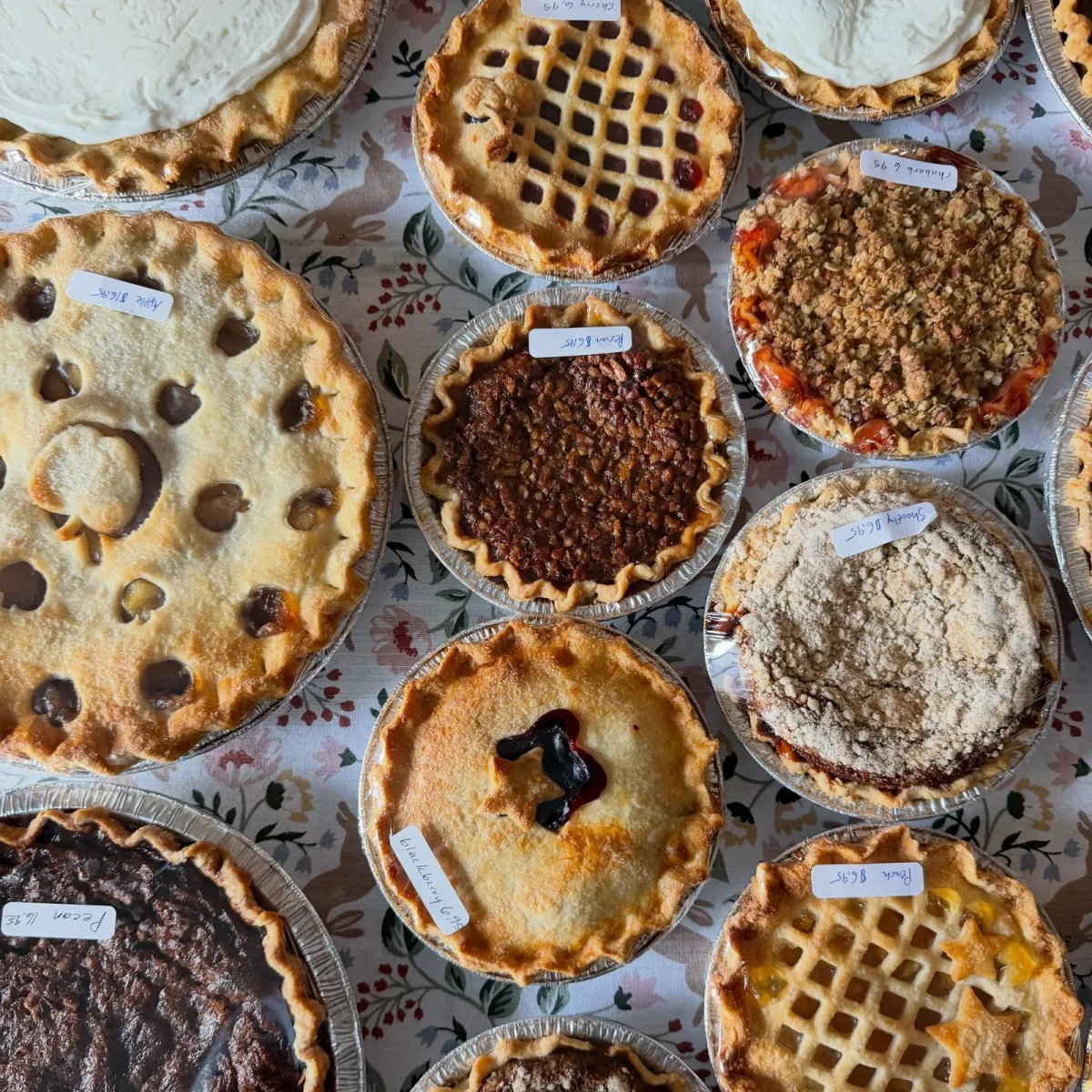 A table of pies with lattice, crumb and meringue tops seen from above