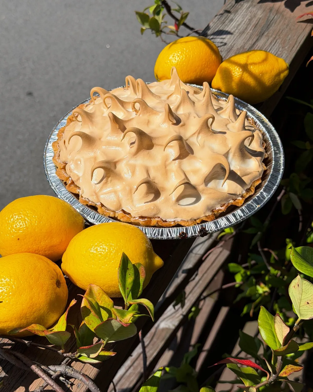 A lemon meringue pie with toasted peaks on a wooden bench