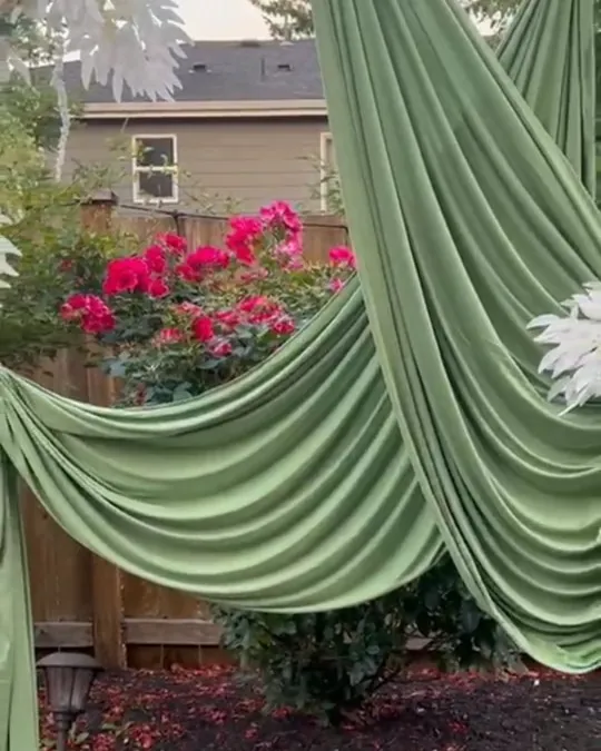 Drapes: Backyard get-together