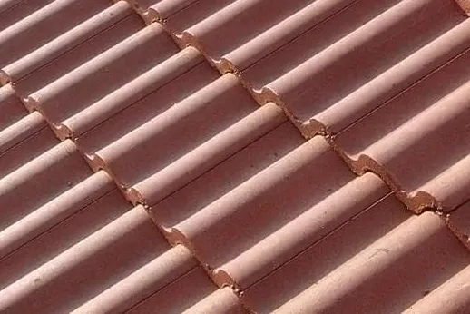 Close view of clay roof tiles laid in rows.
